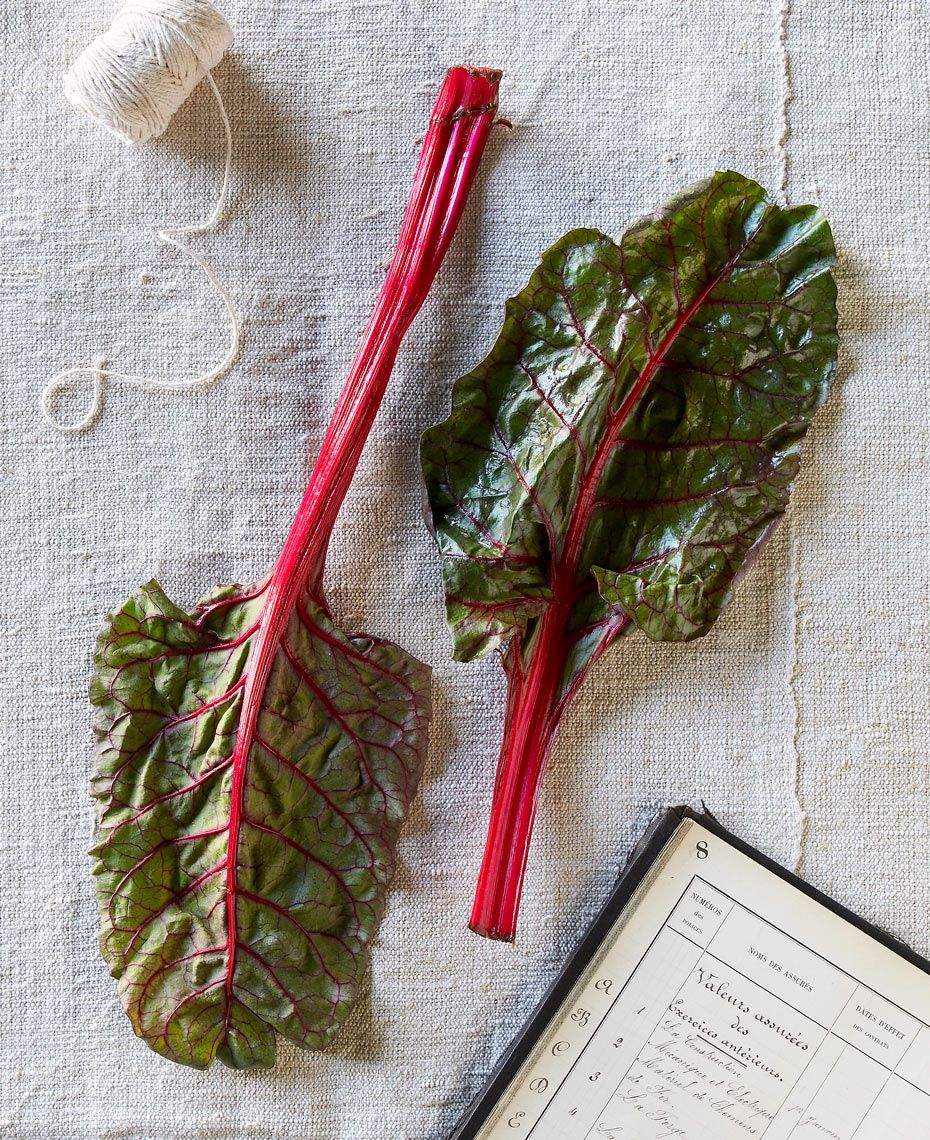 red_chard-1